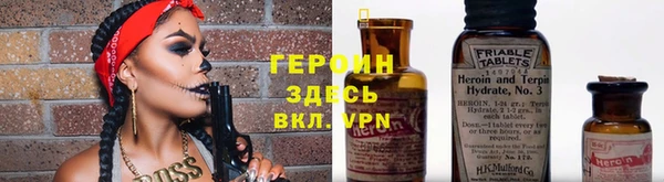 сатива Няндома
