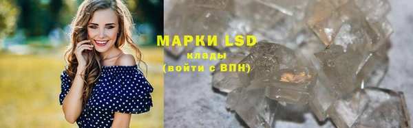 эйфоретик Аркадак
