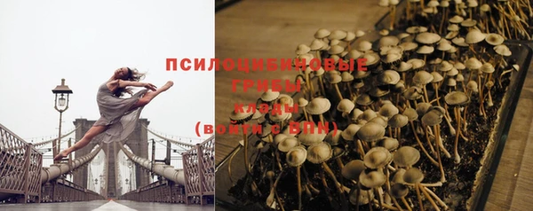 дживик Армянск