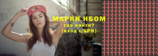 сатива Няндома